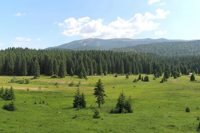 Planina Igman